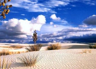 Peygamberler Neden Arap Yarımadasına Gönderildi?