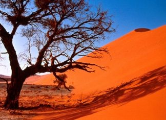 Hadisler neden dinin kaynağı olamaz?