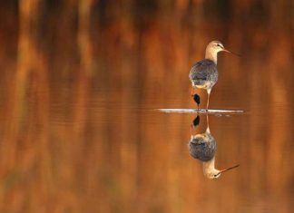 Vahdet’i Vücud Hakkında Ne Diyorsunuz?