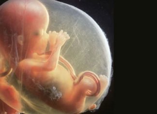 Gebe Suyu ile Abdest Alınır mı?