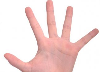 İslamʼın Şartı Beş midir?