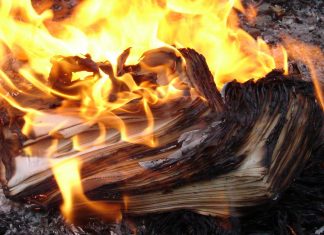 Meşhur Sahabelerin Hadis Nakilciliğine Tepkisi Ne Olmuştur?