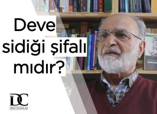 Deve Sidiği Şifalı mıdır? Peygamberimiz Tavsiye Etmiş midir?