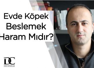 Evde Köpek Beslemek Haram Mıdır?