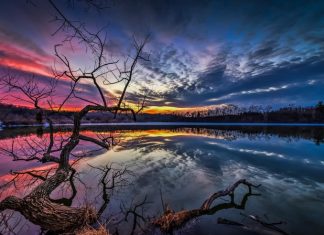 Kurʼanʼa Göre Allah ve Resulüne İtaat Neyi İfade Etmektedir? Resul Dinde Hüküm Koyabilir mi?