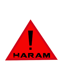 Peygamberimiz Dinde Haram Koyabilir mi? Peygamberimiz Dinde Haram Koyabilir mi?