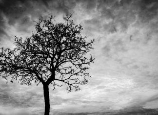 Tevbe Suresi 5. Ayete Göre Müşrikleri Bulduğumuz Yerde Öldürmeli miyiz? Tevbe Suresi 5. Ayete Göre Müşrikleri Bulduğumuz Yerde Öldürmeli miyiz?